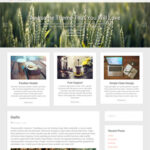 Radiate-pro-widget