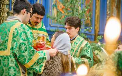 Праздник Святой Троицы в Успенском соборе